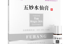 五妙水仙膏的非遗之路：张山人医学智慧的延续